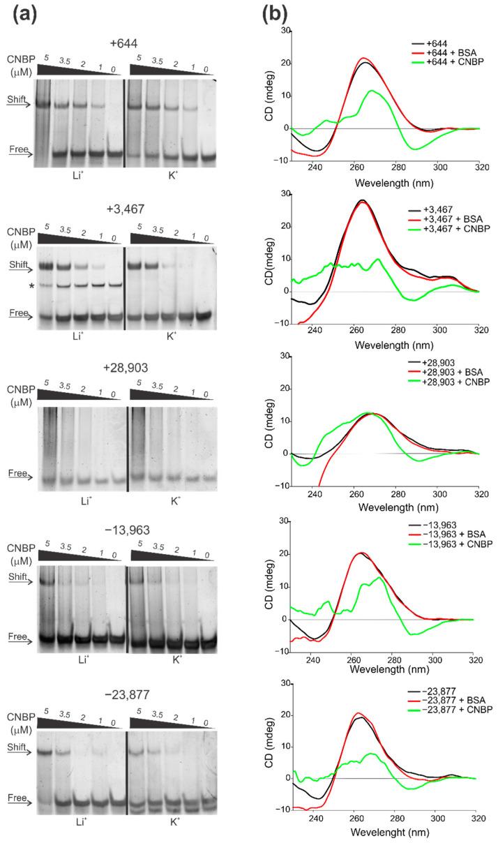 https://cdn.ncbi.nlm.nih.gov/pmc/blobs/ca68/7961906/388f6c391746/ijms-22-02614-g003.jpg