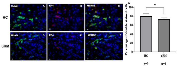 https://cdn.ncbi.nlm.nih.gov/pmc/blobs/ca68/8430623/4f6d1b704999/ijms-22-09134-g001.jpg