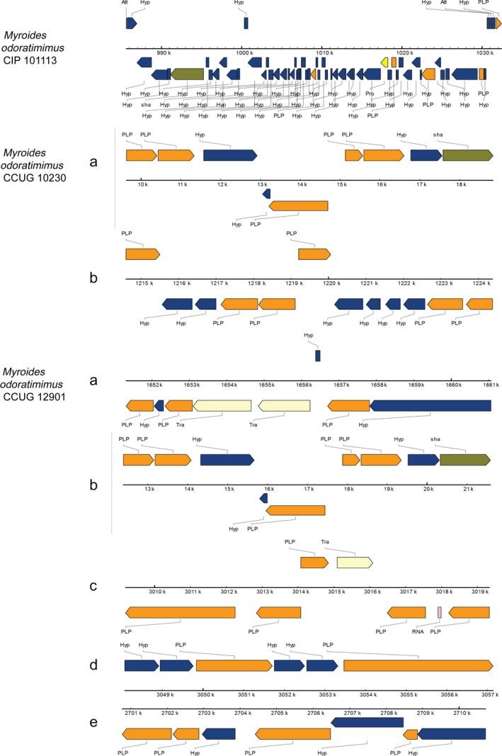 https://cdn.ncbi.nlm.nih.gov/pmc/blobs/ca69/6391281/16e5d8c2ea64/MBO3-8-e00634-g003.jpg
