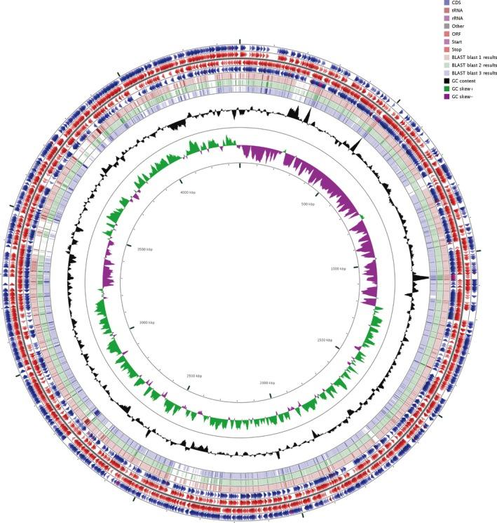 https://cdn.ncbi.nlm.nih.gov/pmc/blobs/ca69/6391281/6ad82436086f/MBO3-8-e00634-g002.jpg
