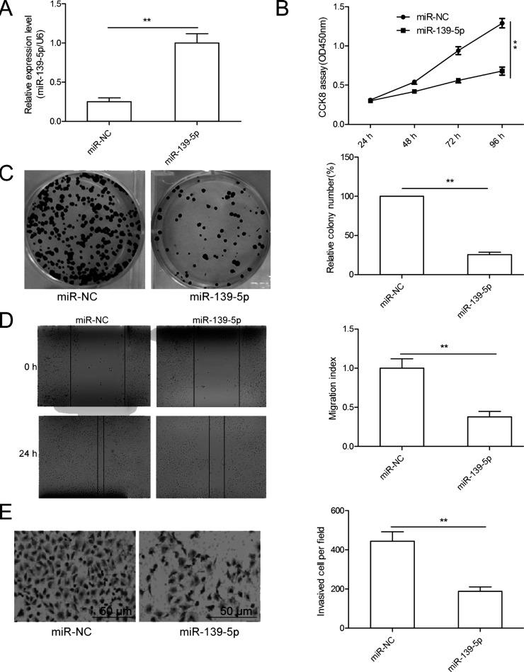 https://cdn.ncbi.nlm.nih.gov/pmc/blobs/ca6a/7844637/070327dc85ff/OR-26-411-g002.jpg