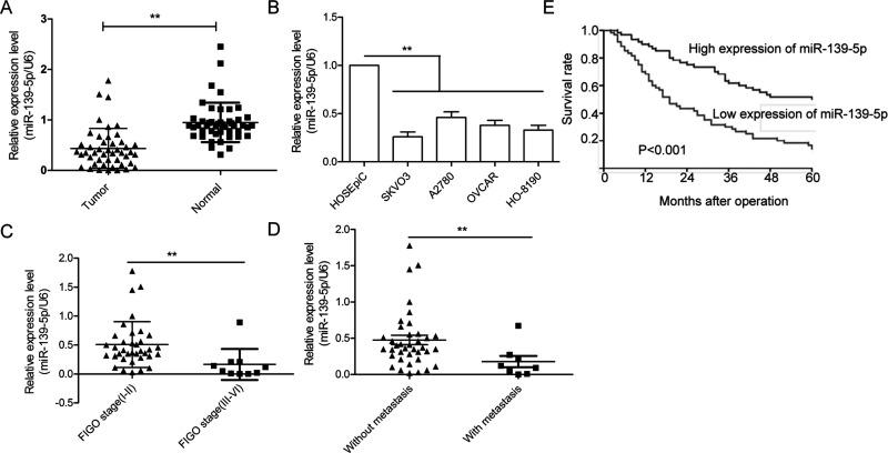https://cdn.ncbi.nlm.nih.gov/pmc/blobs/ca6a/7844637/ab8146fd6d3e/OR-26-411-g001.jpg