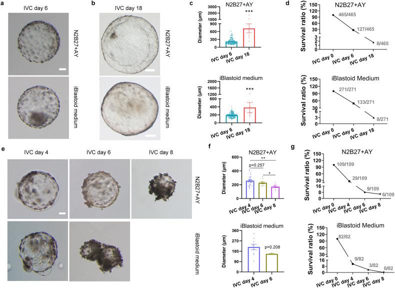 https://cdn.ncbi.nlm.nih.gov/pmc/blobs/ca6d/11219778/8b225223186c/41421_2024_693_Fig6_HTML.jpg
