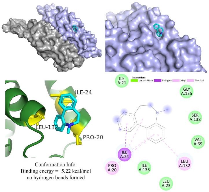 https://cdn.ncbi.nlm.nih.gov/pmc/blobs/ca6d/11816930/172bc5287f84/ijms-26-01103-g004.jpg