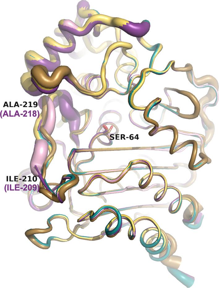 https://cdn.ncbi.nlm.nih.gov/pmc/blobs/ca6f/10350917/49802413c529/jm3c00144_0013.jpg