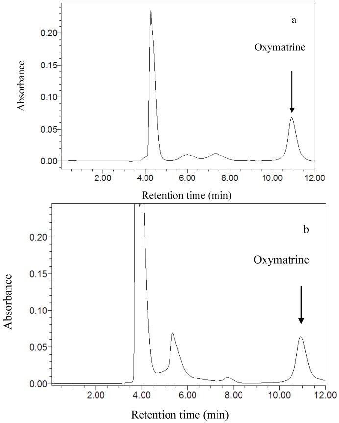 https://cdn.ncbi.nlm.nih.gov/pmc/blobs/ca70/6264219/5e91d1243ea5/molecules-16-07391-g006.jpg