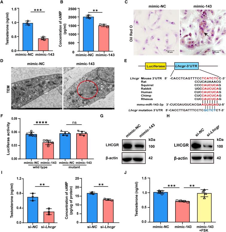 https://cdn.ncbi.nlm.nih.gov/pmc/blobs/ca72/11617286/2803cef342e1/gr3.jpg