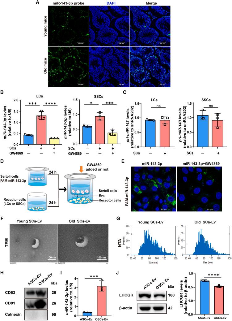 https://cdn.ncbi.nlm.nih.gov/pmc/blobs/ca72/11617286/3a6e183b24ba/gr5.jpg