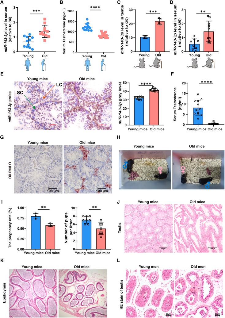 https://cdn.ncbi.nlm.nih.gov/pmc/blobs/ca72/11617286/f4022a5b0010/gr1.jpg