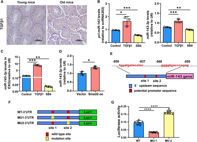 https://cdn.ncbi.nlm.nih.gov/pmc/blobs/ca72/11617286/f7ae4eca0273/gr6.jpg