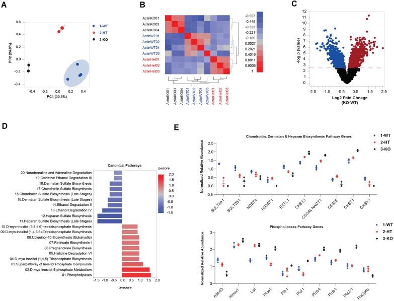 https://cdn.ncbi.nlm.nih.gov/pmc/blobs/ca72/11995268/75d7f9173b07/gkaf280fig1.jpg