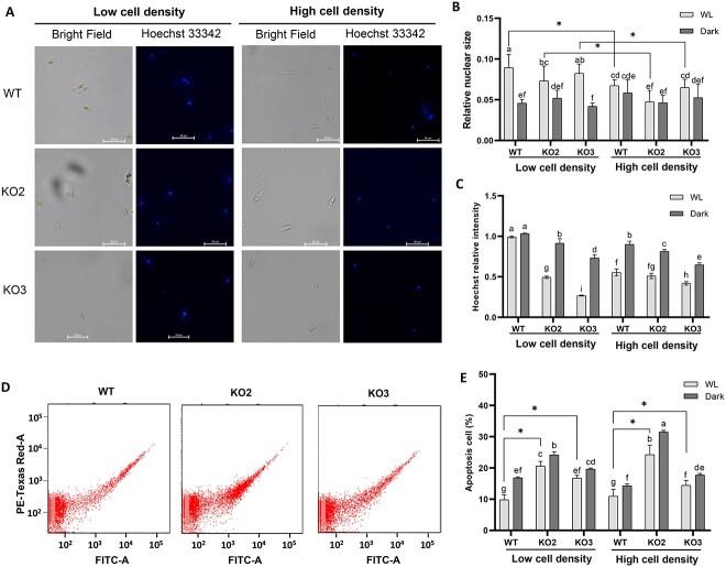 https://cdn.ncbi.nlm.nih.gov/pmc/blobs/ca73/10982851/9491186037db/wrae039f6.jpg