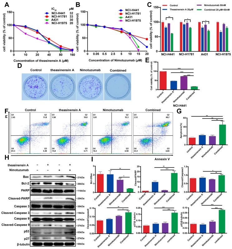 https://cdn.ncbi.nlm.nih.gov/pmc/blobs/ca74/10531337/8e5dd208ed44/ijms-24-14012-g002.jpg