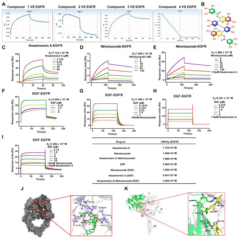 https://cdn.ncbi.nlm.nih.gov/pmc/blobs/ca74/10531337/a77ec15fdd4b/ijms-24-14012-g001.jpg
