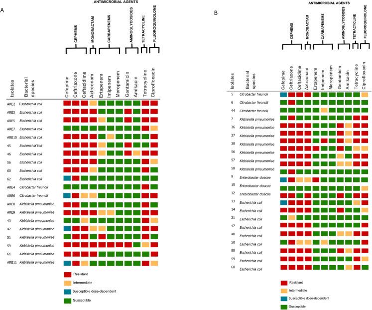 https://cdn.ncbi.nlm.nih.gov/pmc/blobs/ca74/12033109/d48292cb310e/10661_2025_14022_Fig4_HTML.jpg