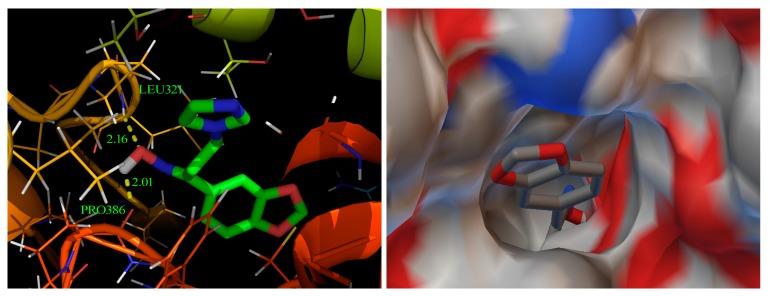 https://cdn.ncbi.nlm.nih.gov/pmc/blobs/ca74/6155236/8fbfaea6ef8b/molecules-22-00373-g007.jpg