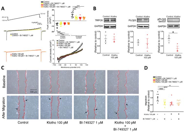 https://cdn.ncbi.nlm.nih.gov/pmc/blobs/ca74/9312905/18bd3e97cfff/biomedicines-10-01574-g003.jpg