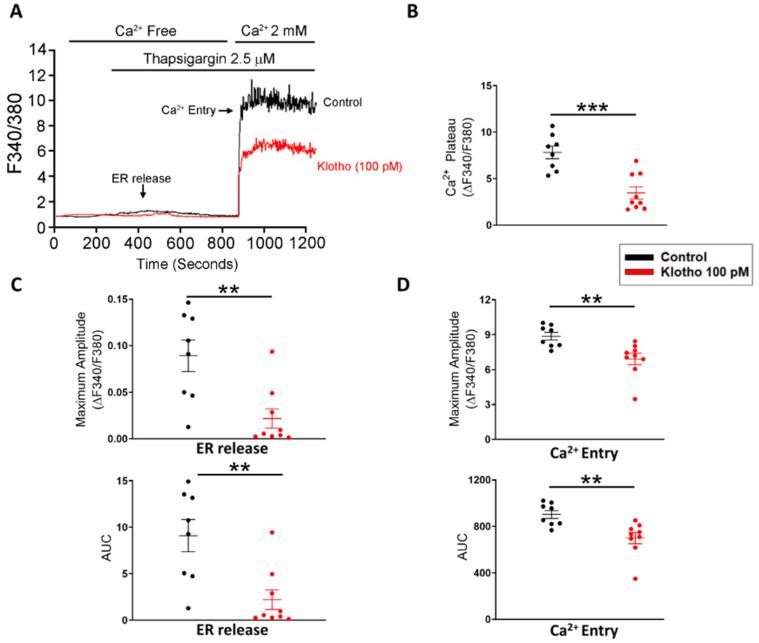 https://cdn.ncbi.nlm.nih.gov/pmc/blobs/ca74/9312905/326da3910fd8/biomedicines-10-01574-g002.jpg