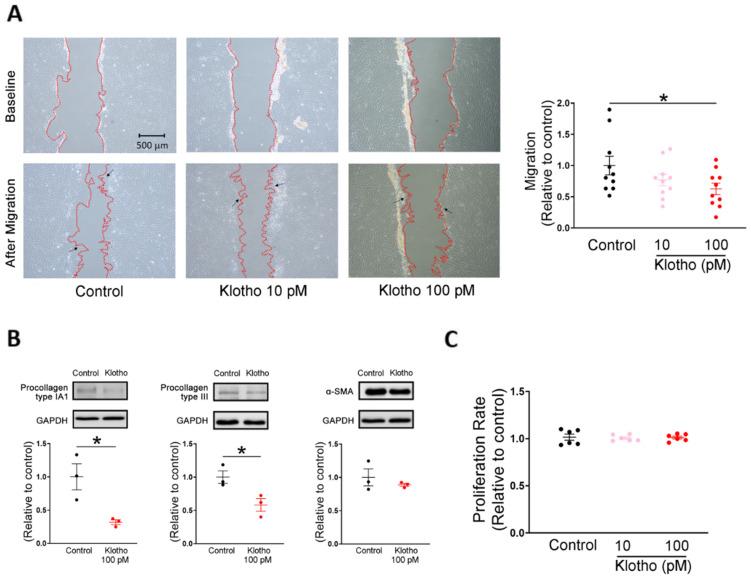 https://cdn.ncbi.nlm.nih.gov/pmc/blobs/ca74/9312905/5b0be07fb68d/biomedicines-10-01574-g001.jpg
