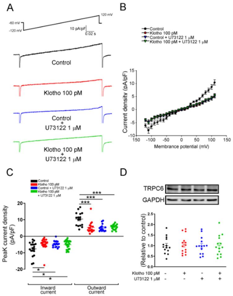 https://cdn.ncbi.nlm.nih.gov/pmc/blobs/ca74/9312905/cbbbd18c14ac/biomedicines-10-01574-g006.jpg