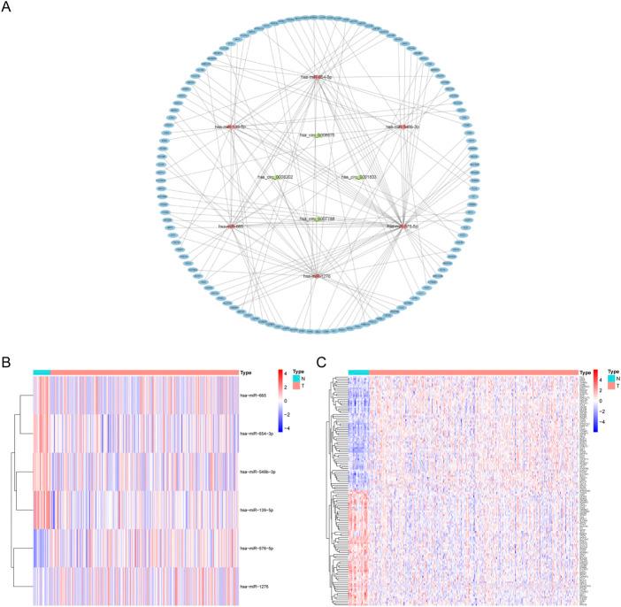 https://cdn.ncbi.nlm.nih.gov/pmc/blobs/ca74/9753980/8f81064deb73/fphar-13-949713-g003.jpg