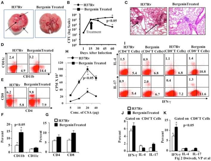 https://cdn.ncbi.nlm.nih.gov/pmc/blobs/ca75/5410567/90937a0b9955/fcimb-07-00149-g0002.jpg