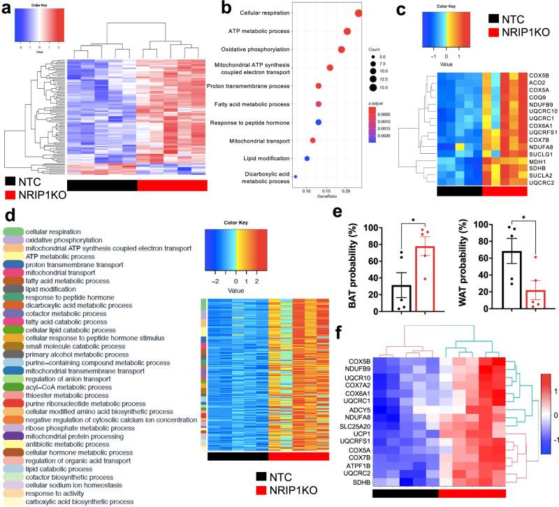 https://cdn.ncbi.nlm.nih.gov/pmc/blobs/ca75/8626495/fc06a9e423db/41467_2021_27190_Fig6_HTML.jpg