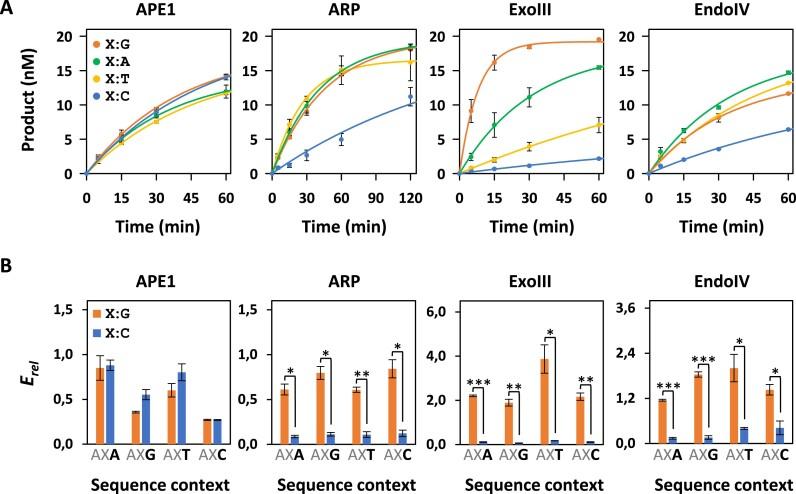 https://cdn.ncbi.nlm.nih.gov/pmc/blobs/ca76/11707538/2250c7c098cd/gkae1297fig1.jpg