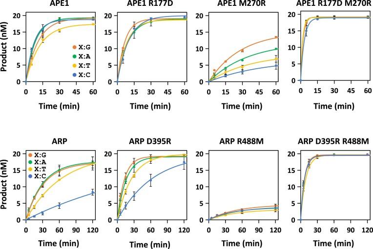https://cdn.ncbi.nlm.nih.gov/pmc/blobs/ca76/11707538/84a55f1bfb06/gkae1297fig3.jpg