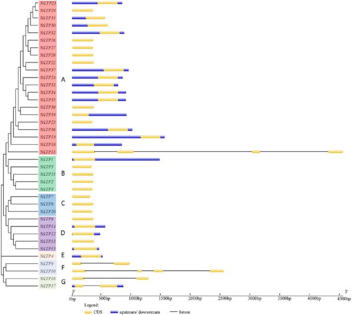 https://cdn.ncbi.nlm.nih.gov/pmc/blobs/ca77/10041547/0bc38ae01554/PLD3-7-e491-g005.jpg