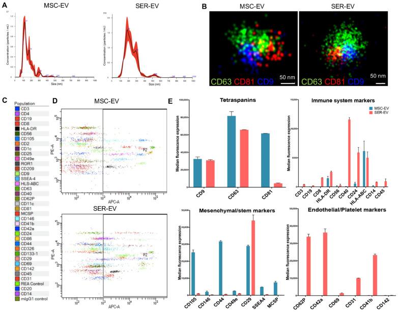 https://cdn.ncbi.nlm.nih.gov/pmc/blobs/ca77/8125791/90c1c9355f1a/ijms-22-04930-g002.jpg
