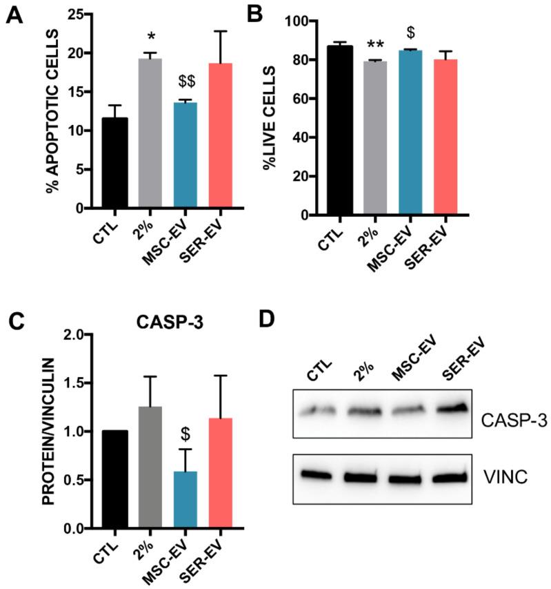 https://cdn.ncbi.nlm.nih.gov/pmc/blobs/ca77/8125791/d03d036013a9/ijms-22-04930-g006.jpg