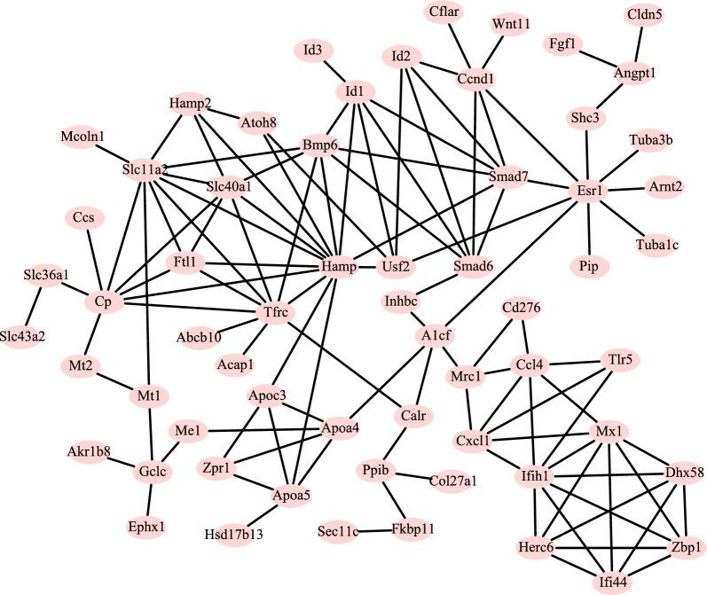 https://cdn.ncbi.nlm.nih.gov/pmc/blobs/ca7b/10283296/9f05d9b7f6db/13098_2023_1110_Fig6_HTML.jpg