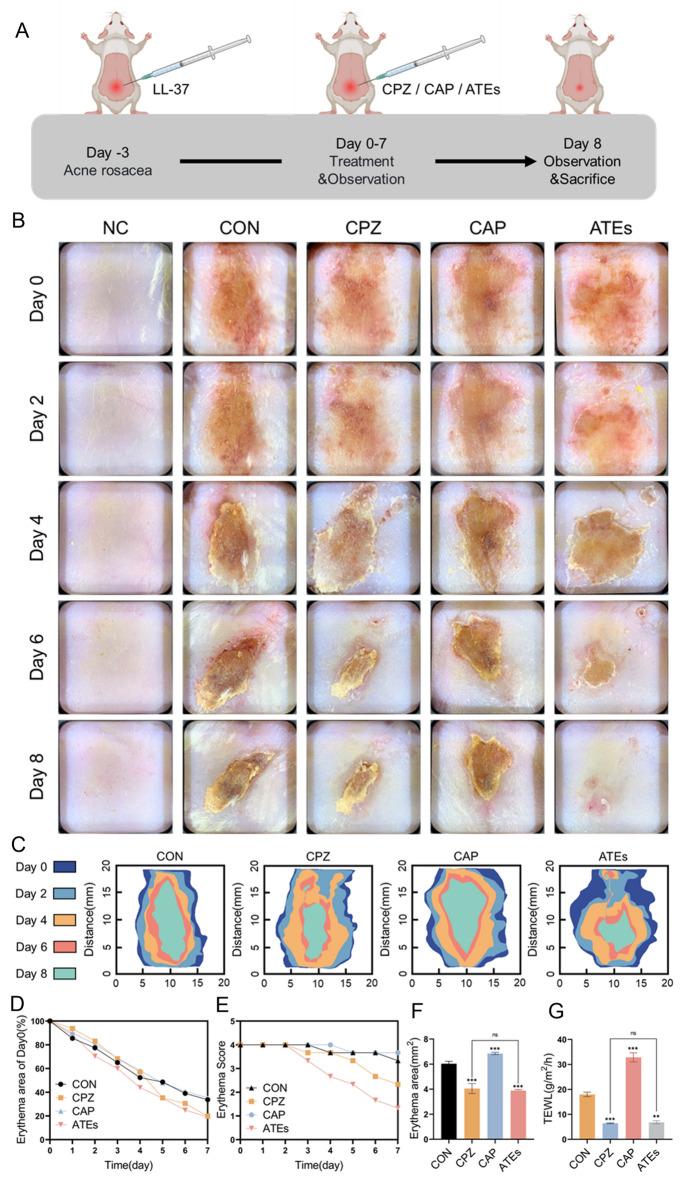 https://cdn.ncbi.nlm.nih.gov/pmc/blobs/ca7b/11411087/12409e1c76af/41598_2024_72593_Fig3_HTML.jpg