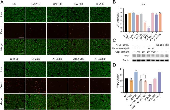 https://cdn.ncbi.nlm.nih.gov/pmc/blobs/ca7b/11411087/47f4641ba741/41598_2024_72593_Fig1_HTML.jpg