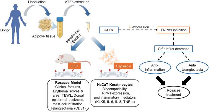 https://cdn.ncbi.nlm.nih.gov/pmc/blobs/ca7b/11411087/501f069c2946/41598_2024_72593_Fig6_HTML.jpg