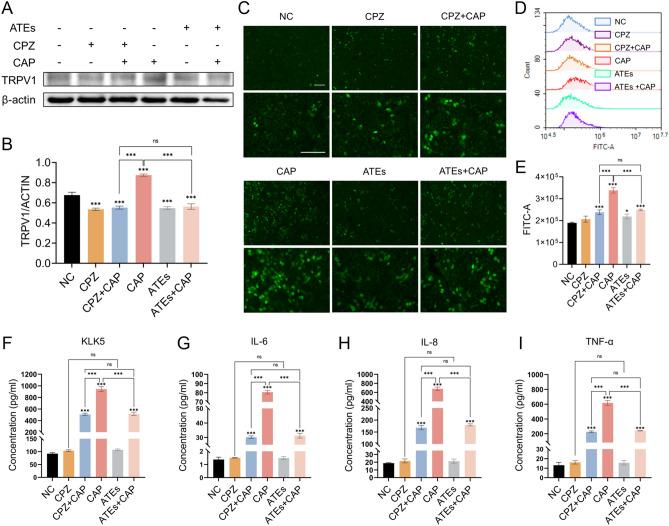 https://cdn.ncbi.nlm.nih.gov/pmc/blobs/ca7b/11411087/6e5182dfd37b/41598_2024_72593_Fig2_HTML.jpg