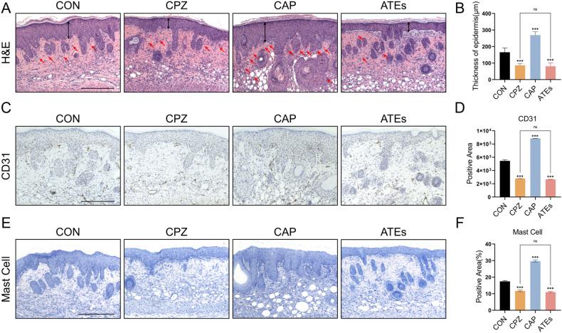 https://cdn.ncbi.nlm.nih.gov/pmc/blobs/ca7b/11411087/7f11900d1ced/41598_2024_72593_Fig4_HTML.jpg