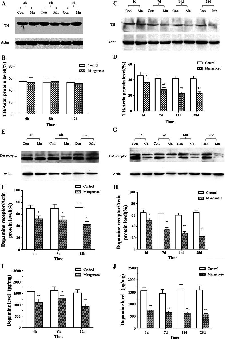 https://cdn.ncbi.nlm.nih.gov/pmc/blobs/ca7c/3785712/19324cfbb25f/12640_2013_9392_Fig3_HTML.jpg