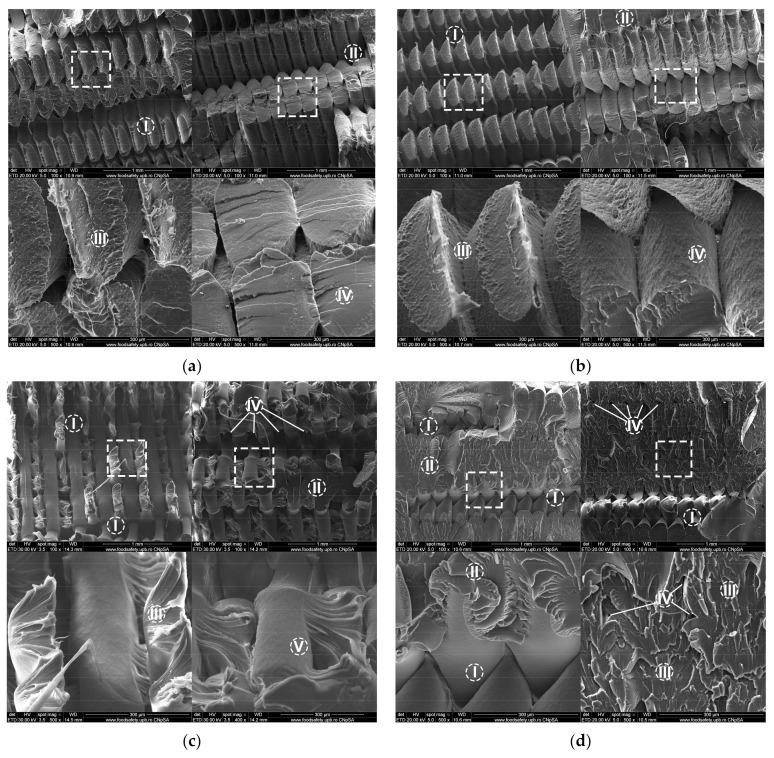 https://cdn.ncbi.nlm.nih.gov/pmc/blobs/ca7e/8659210/1c022d751dc9/polymers-13-04132-g008.jpg