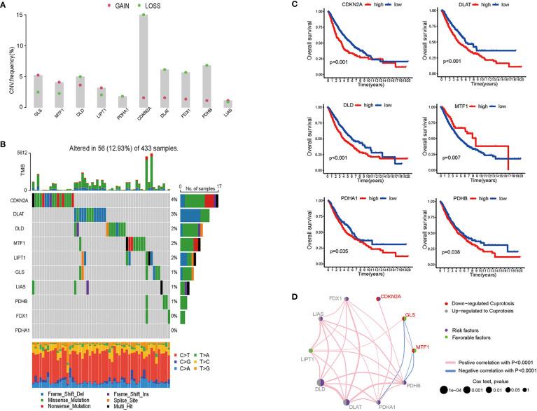 https://cdn.ncbi.nlm.nih.gov/pmc/blobs/ca7f/9393616/3707d056d1fd/fonc-12-922332-g001.jpg