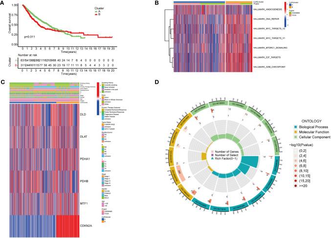 https://cdn.ncbi.nlm.nih.gov/pmc/blobs/ca7f/9393616/54dc294c833d/fonc-12-922332-g002.jpg
