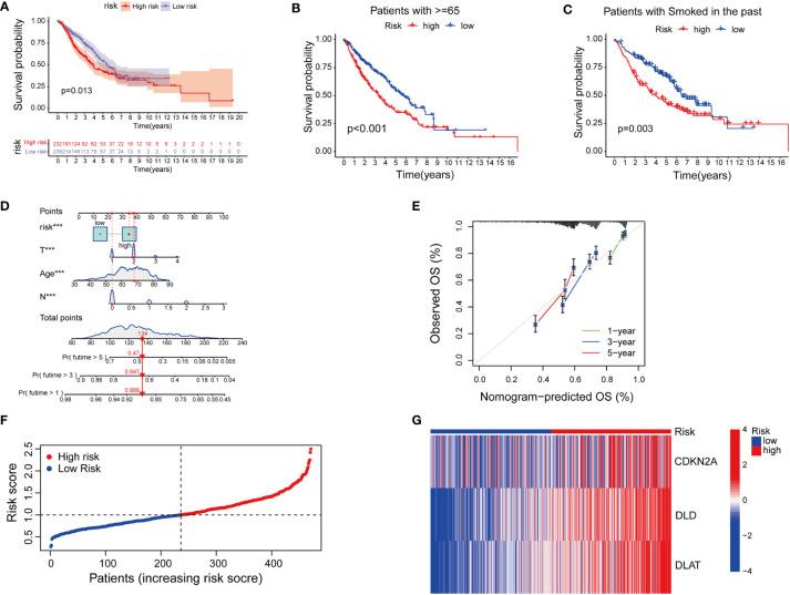 https://cdn.ncbi.nlm.nih.gov/pmc/blobs/ca7f/9393616/554322bfdaac/fonc-12-922332-g004.jpg