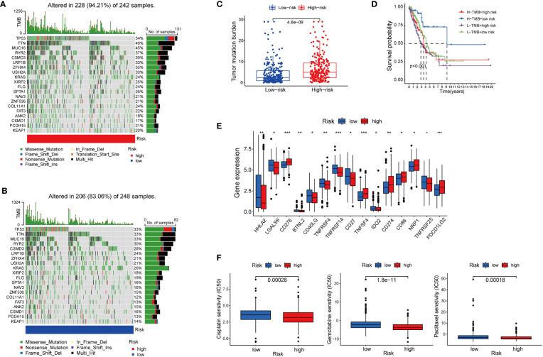 https://cdn.ncbi.nlm.nih.gov/pmc/blobs/ca7f/9393616/7e56abb02206/fonc-12-922332-g006.jpg