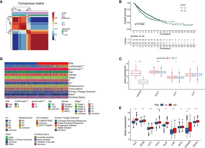 https://cdn.ncbi.nlm.nih.gov/pmc/blobs/ca7f/9393616/d1eb11c16b48/fonc-12-922332-g003.jpg