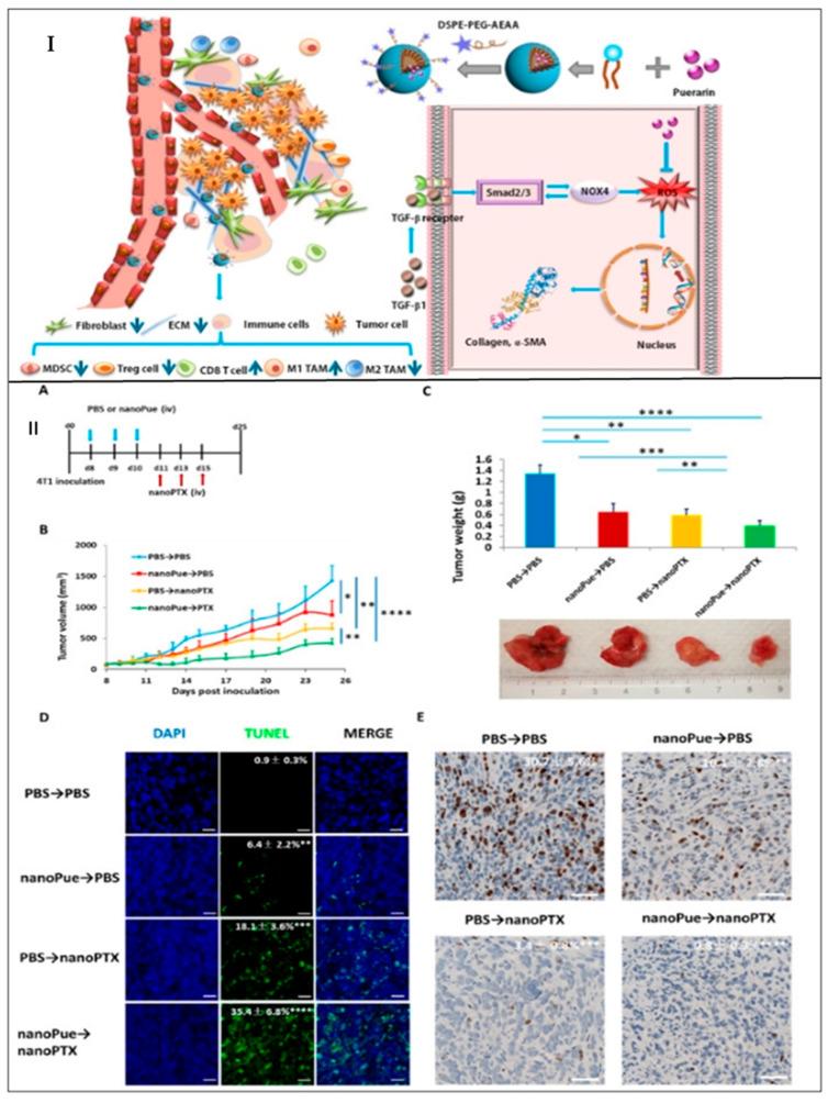 https://cdn.ncbi.nlm.nih.gov/pmc/blobs/ca80/9456313/43bfc0b0bc5c/ijms-23-10068-g004.jpg