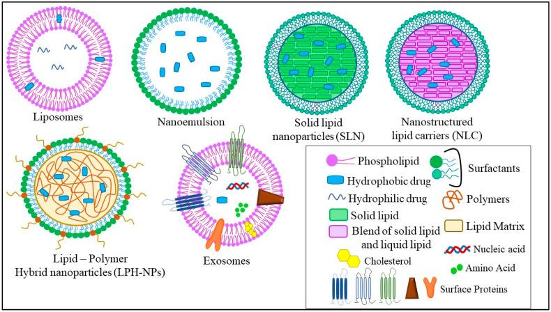 https://cdn.ncbi.nlm.nih.gov/pmc/blobs/ca80/9456313/7975bd3b27a8/ijms-23-10068-g002.jpg