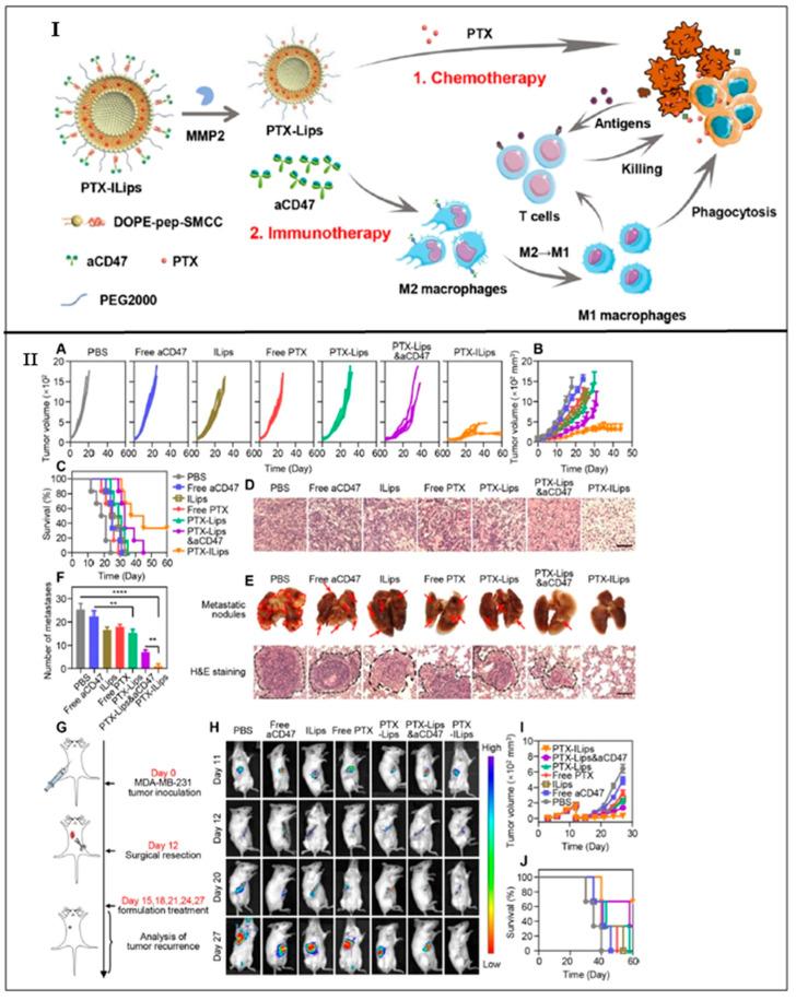 https://cdn.ncbi.nlm.nih.gov/pmc/blobs/ca80/9456313/c78f56411b08/ijms-23-10068-g003.jpg