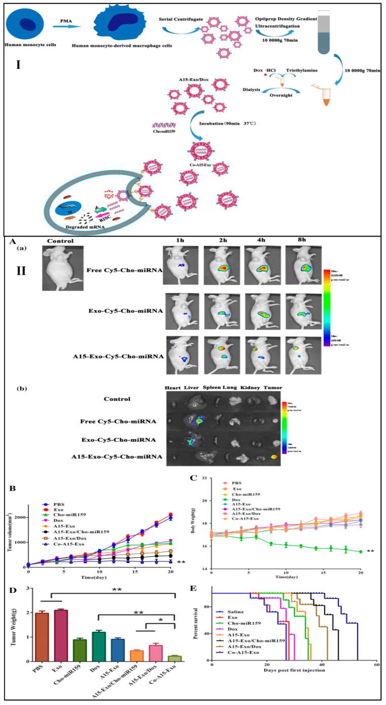 https://cdn.ncbi.nlm.nih.gov/pmc/blobs/ca80/9456313/fe2cd5e6509e/ijms-23-10068-g007.jpg