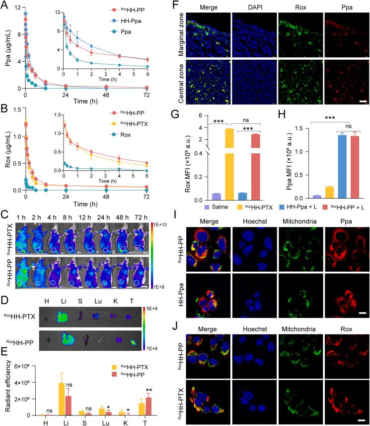 https://cdn.ncbi.nlm.nih.gov/pmc/blobs/ca82/12145006/0b4302775335/gr2.jpg